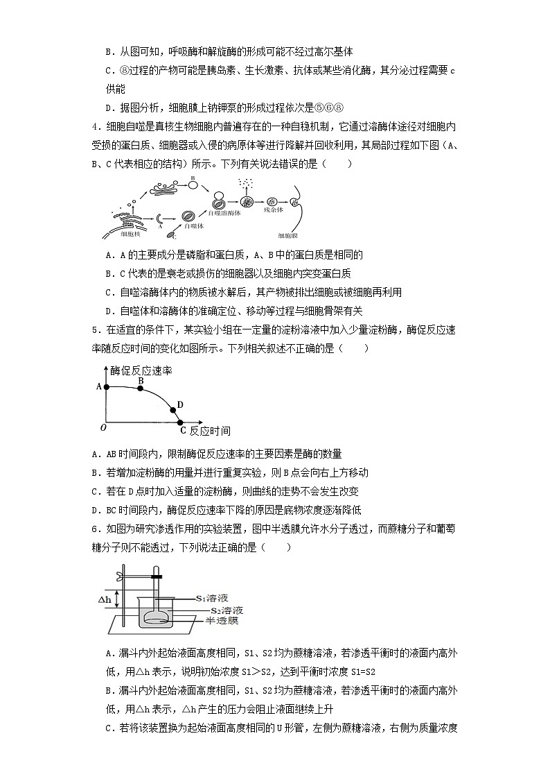 江西省宜春市丰城市2023_2024学年高三生物上学期12月月考试题02