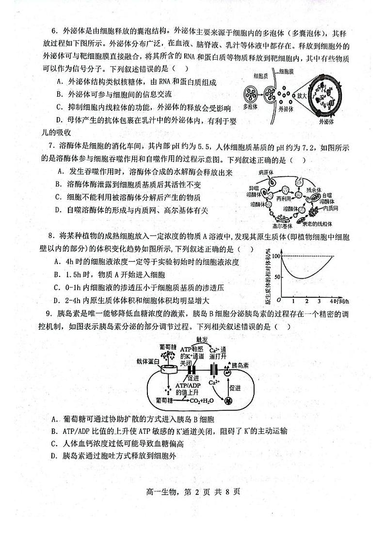 辽宁省部分高中2023_2024学年高一生物上学期期末联考试题pdf含解析02