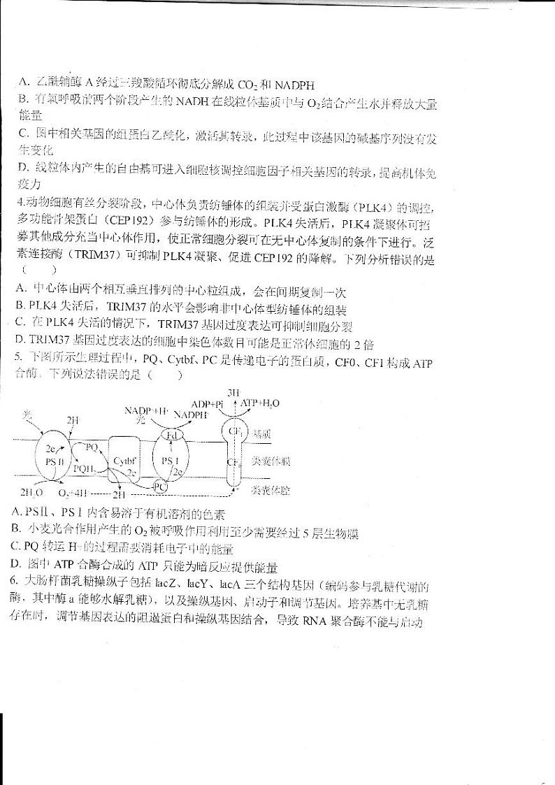 山东省德州市2023_2024学年高三生物上学期1月期末考试pdf含解析第2页