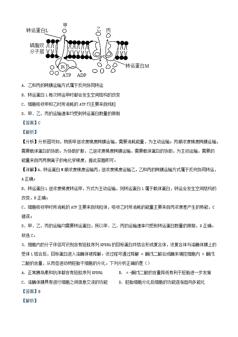 福建省部分学校2023_2024学年高三生物上学期12月月考试题含解析第2页