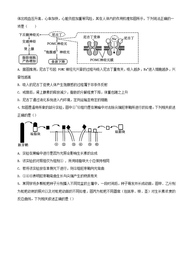 江苏省2023_2024学年高二生物上学期12月月考试题含解析02