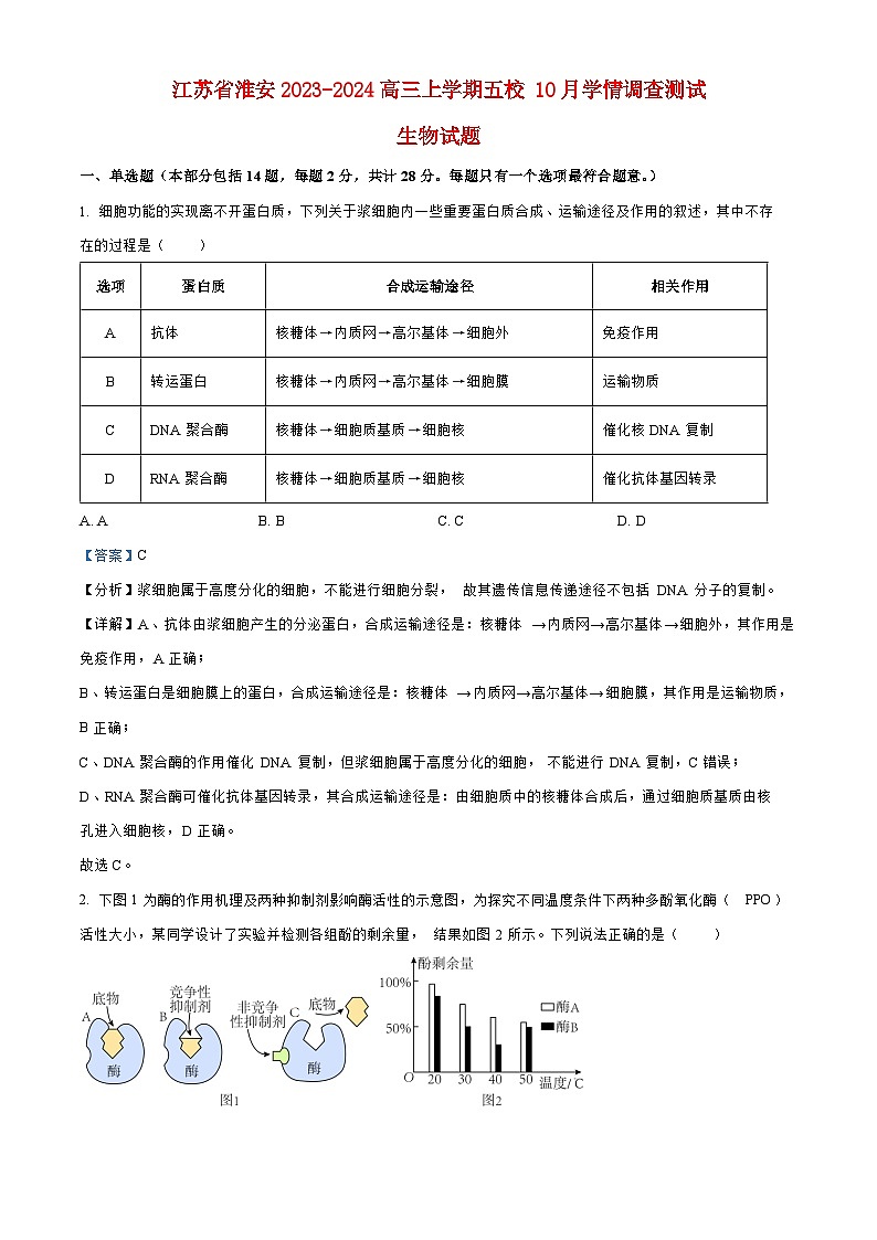 江苏省淮安2023_2024高三生物上学期10月学情调查测试试题01