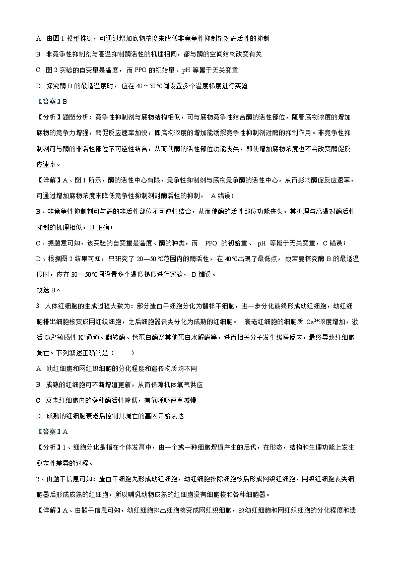江苏省淮安2023_2024高三生物上学期10月学情调查测试试题02