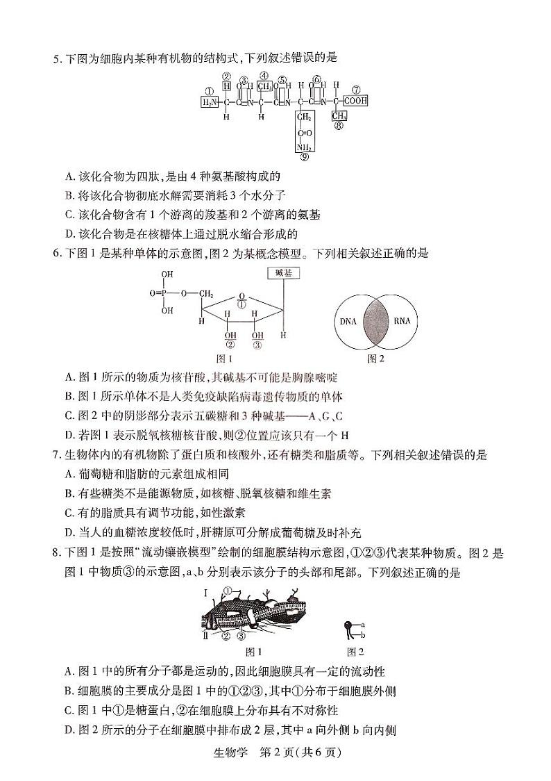江西省2023_2024学年高一生物上学期12月第二次模拟哑联考试题pdf含解析02