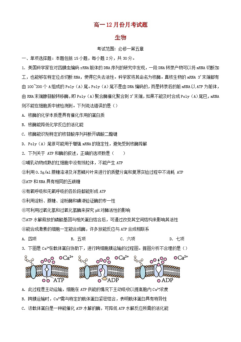 山东省菏泽市2023_2024学年高一生物上学期12月月考试题含解析01