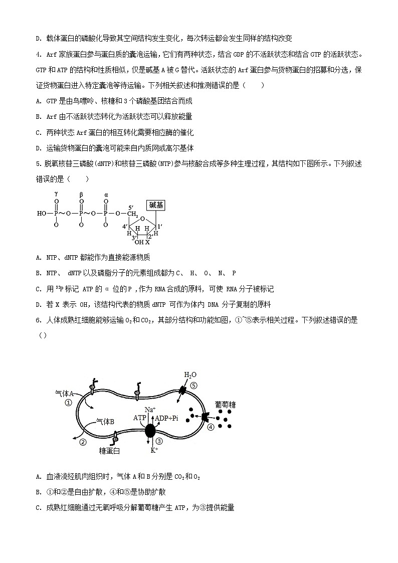 山东省菏泽市2023_2024学年高一生物上学期12月月考试题含解析02
