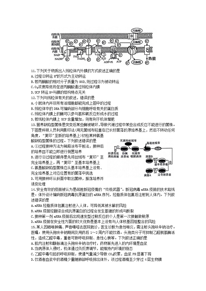 浙江省2023_2024学年高三生物上学期12月联考试题第3页