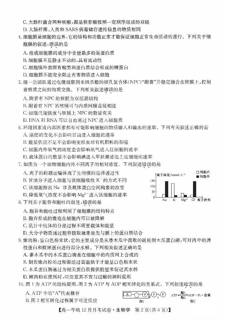 河北省沧州市部分学校2023_2024学年高一生物上学期12月月考试题pdf02