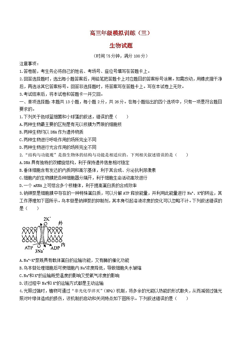 河北省沧州市泊头市2023_2024学年高三生物上学期11月月考试题01