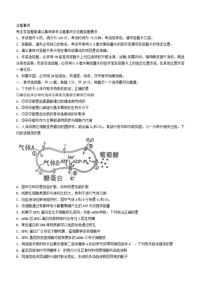 江苏省海安市2023_2024学年高三生物上学期12月月考试题第1页