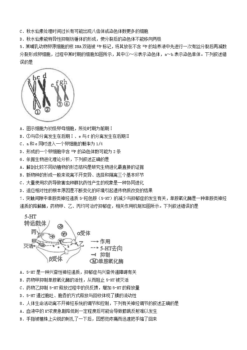 江苏省海安市2023_2024学年高三生物上学期12月月考试题第2页