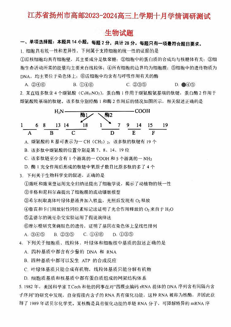 江苏省扬州市高邮2023_2024高三生物上学期10月学情调研测试试题pdf第1页