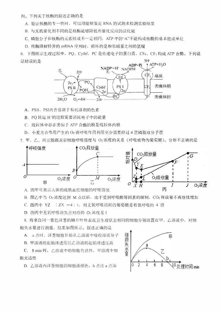 江苏省扬州市高邮2023_2024高三生物上学期10月学情调研测试试题pdf第2页