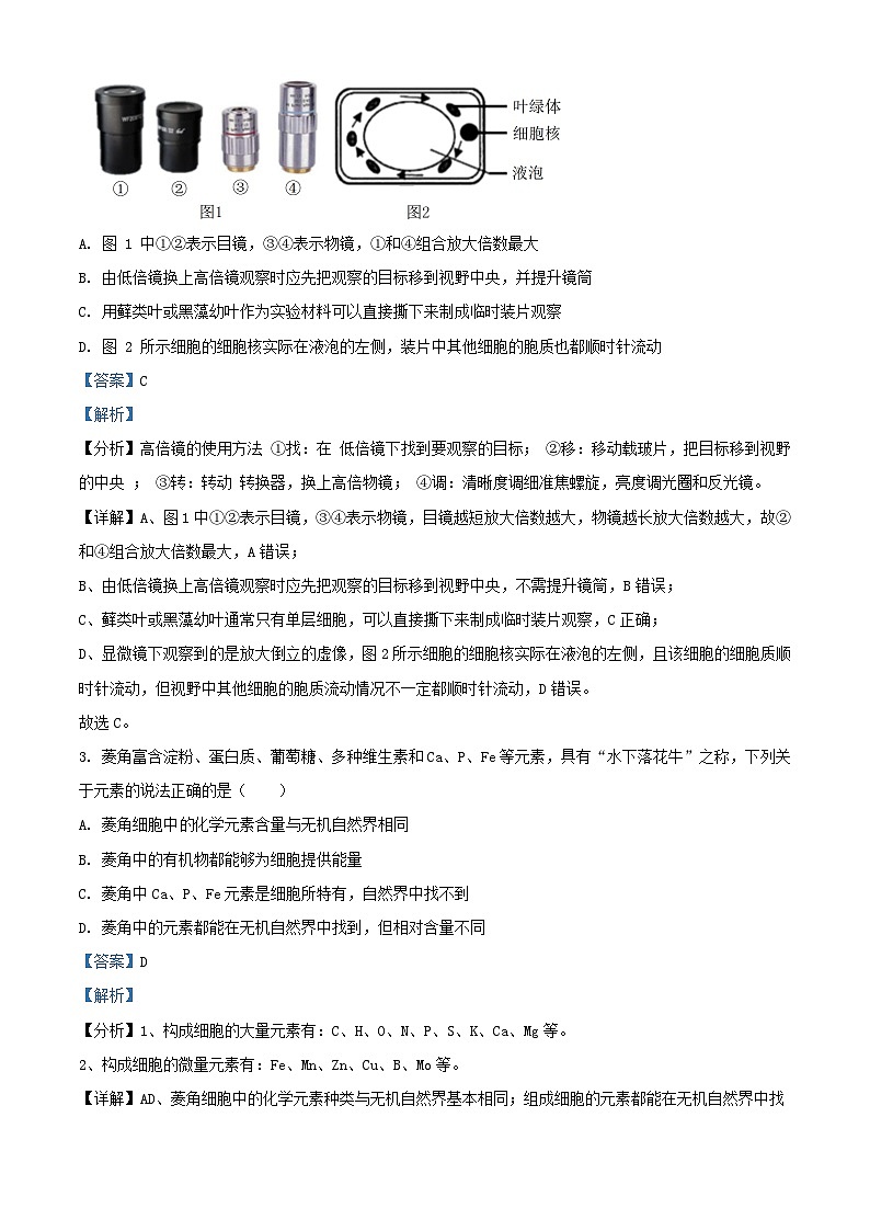 四川省成都市2023_2024学年高一生物上学期12月月考试题含解析第2页