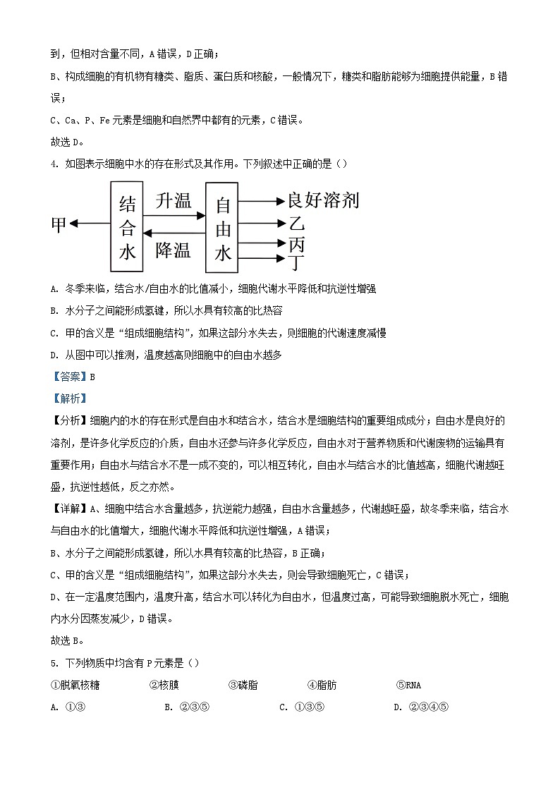 四川省成都市2023_2024学年高一生物上学期12月月考试题含解析第3页