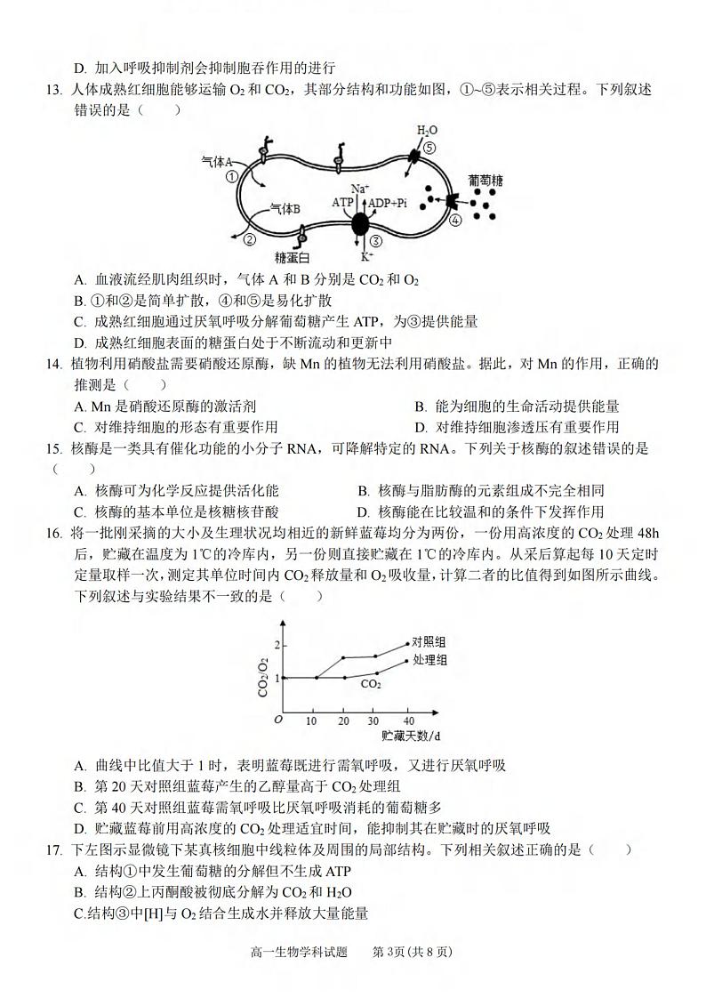 浙江省丽水发展共同体2023_2024学年高一生物上学期12月联考试题pdf第3页