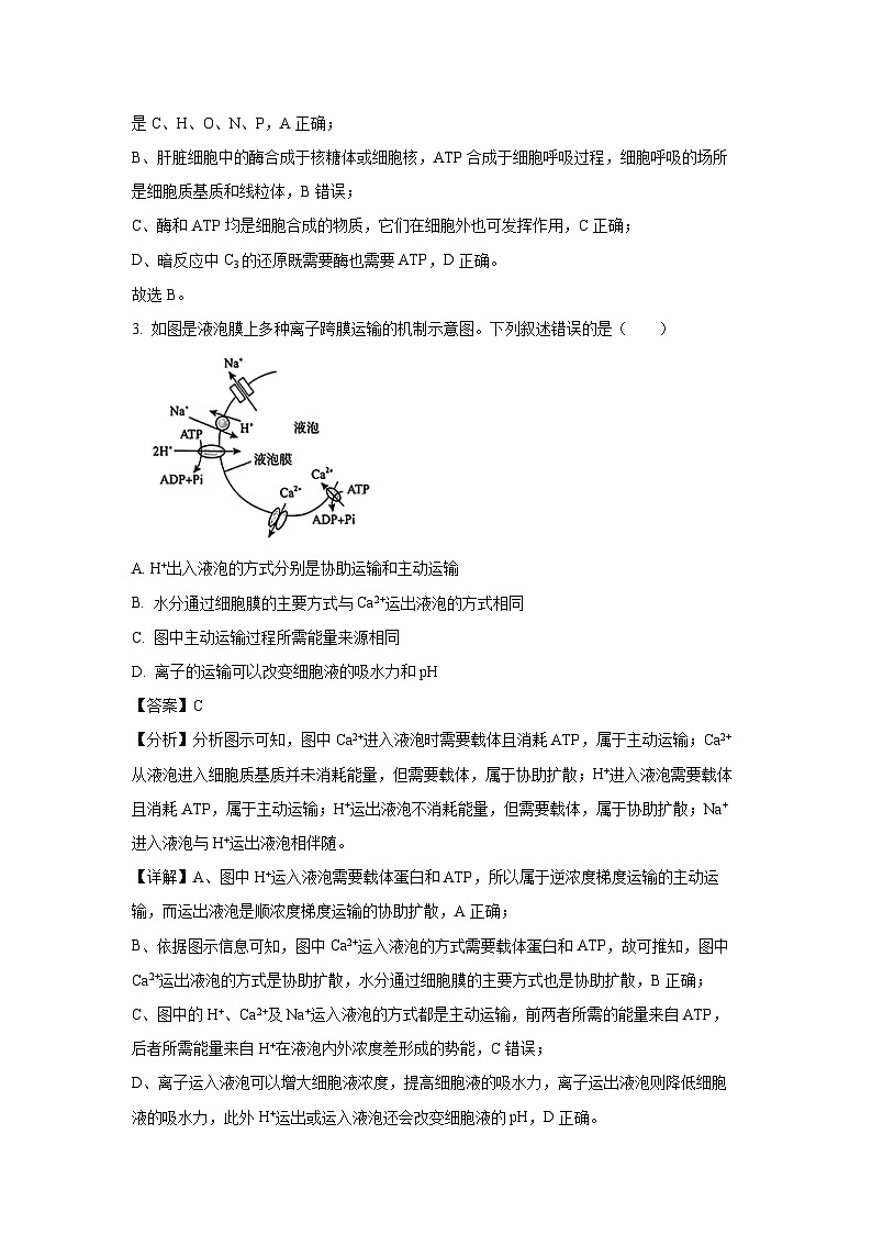 [生物]2025届河南省濮阳市高考模拟预测(解析版)02