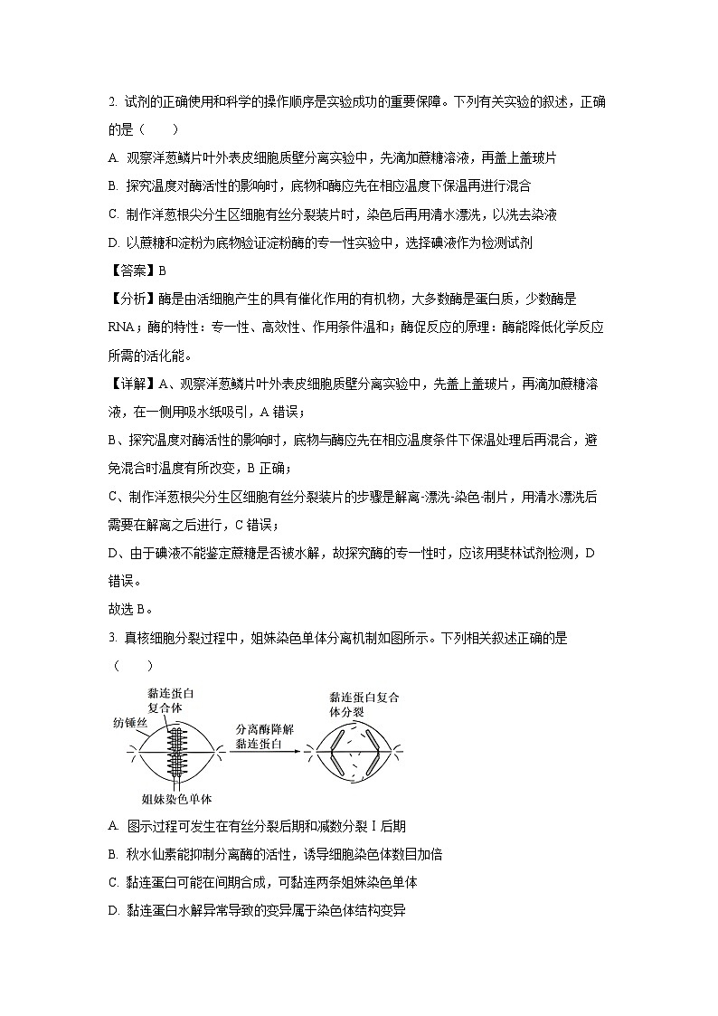 [生物]安徽省亳州市2024-2025学年高三上学期开学摸底大联考试卷(解析版)02