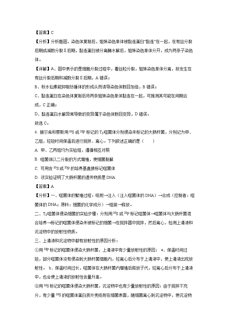 [生物]安徽省亳州市2024-2025学年高三上学期开学摸底大联考试卷(解析版)03