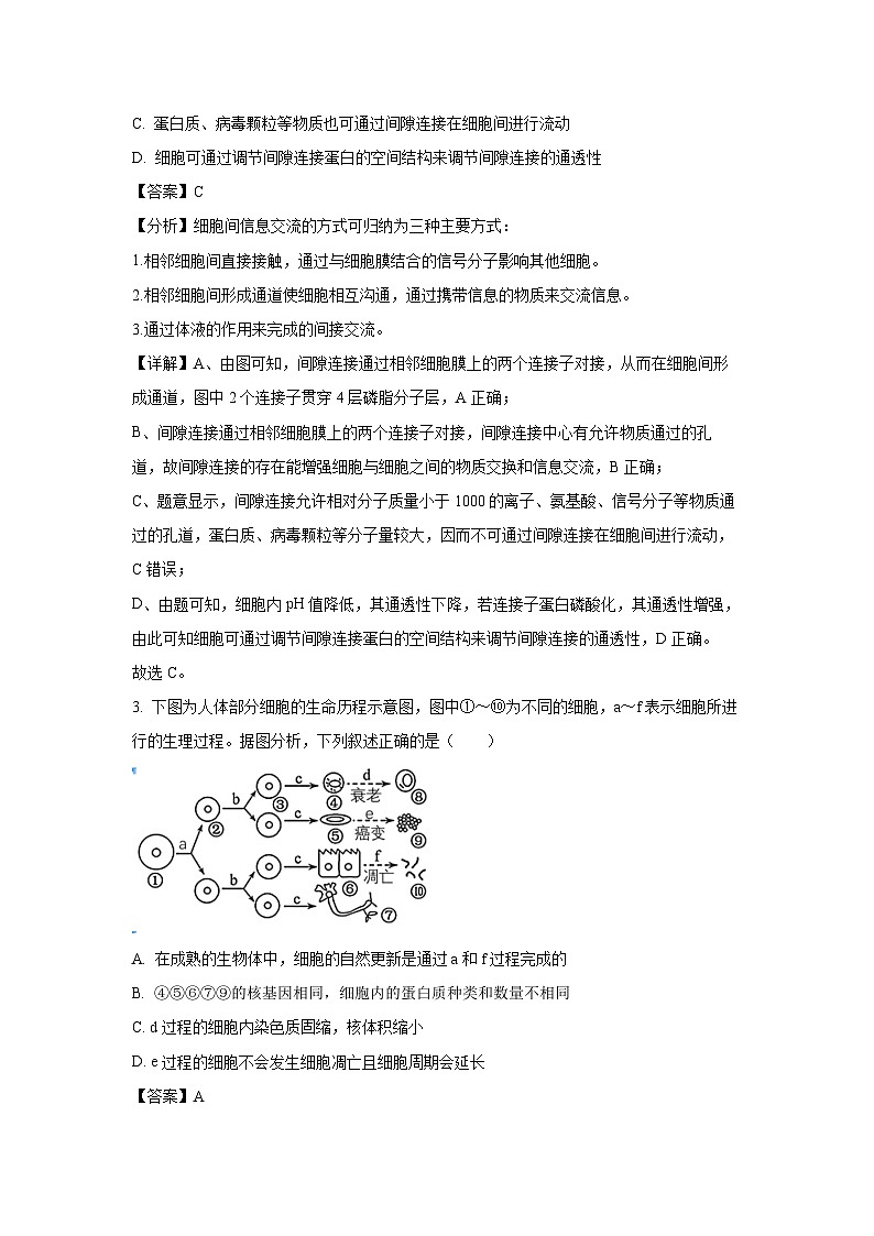 [生物]江苏省南京市2024-2025学年高三上学期六校联合体学情调研测试月考(解析版)第2页