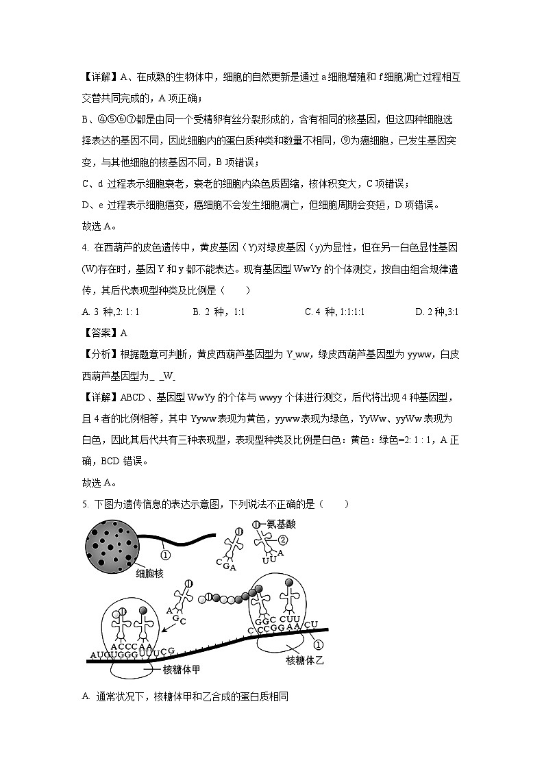 [生物]江苏省南京市2024-2025学年高三上学期六校联合体学情调研测试月考(解析版)第3页