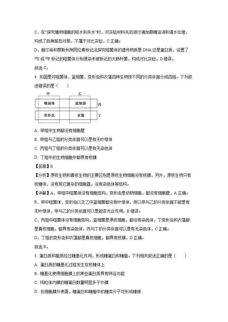 [生物]江苏省宿迁市2024-2025学年高三上学期第一次调研月考试卷(解析版)第3页