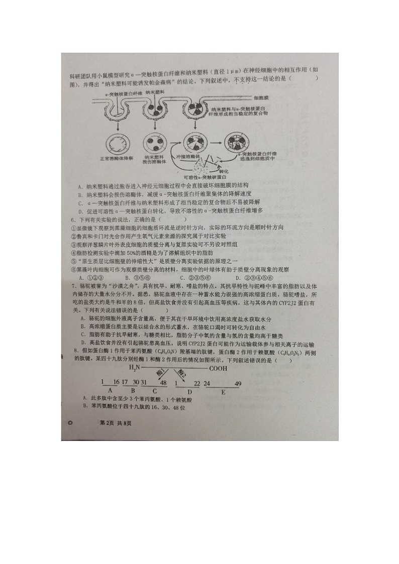 海南省农垦中学2024-2025学年高三上学期第一次月考生物试题02