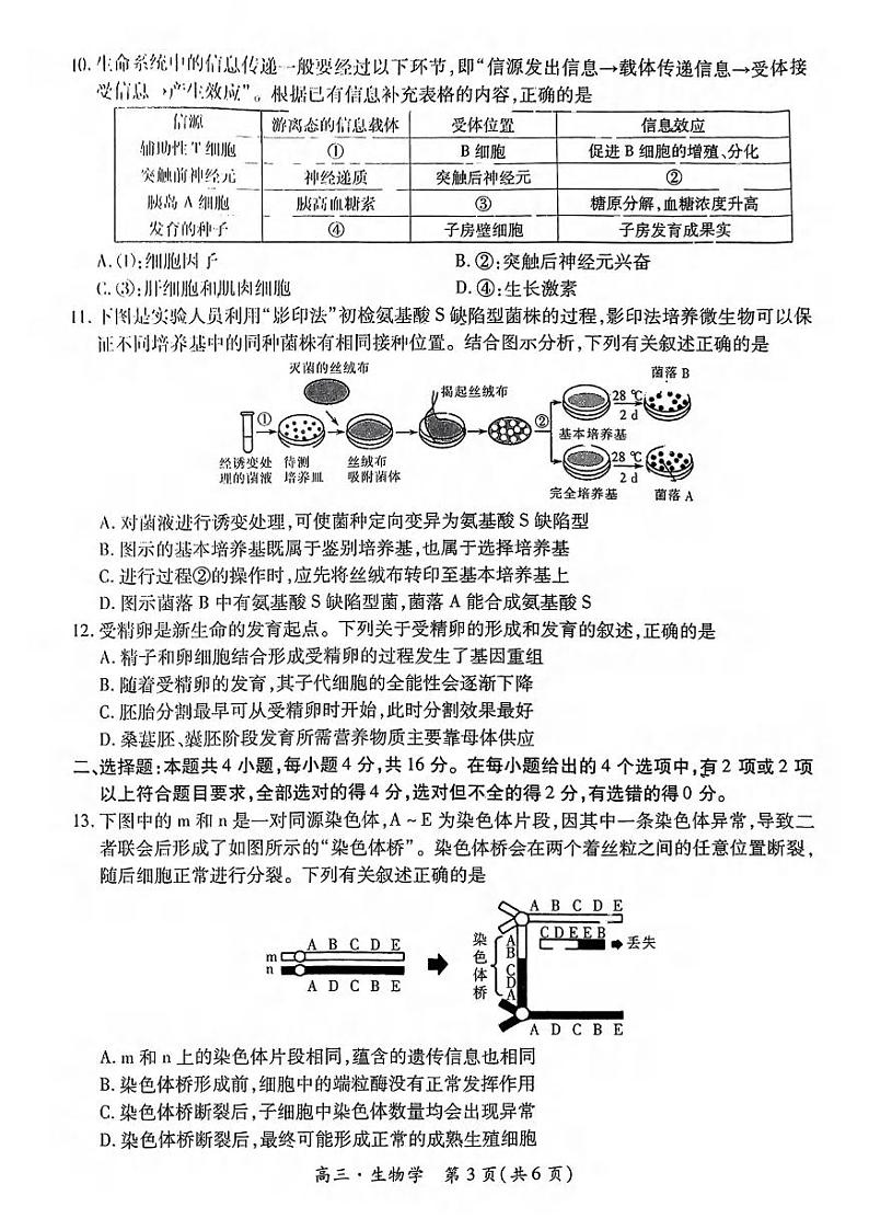 生物丨江西省上进联考“红色十校”2025届高三9月第一次联考生物试卷及答案第3页
