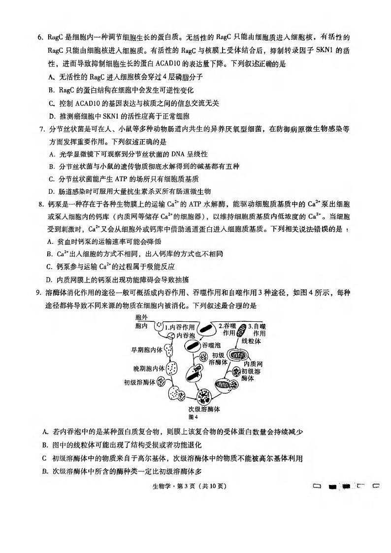 生物丨重庆市巴蜀中学2025届9月高考适应性月考卷（一）生物试卷及答案第3页