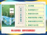 1.1 细胞是生命活动的基本单位-2024-2025学年高一生物同步课件（人教版2019必修1）