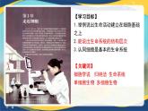 1.1 细胞是生命活动的基本单位-2024-2025学年高一生物同步课件（人教版2019必修1）