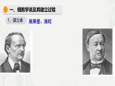 1.1 细胞是生命活动的基本单位-2024-2025学年高一生物同步课件（人教版2019必修1）