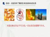 2.2 细胞中的无机物-2024-2025学年高一生物同步教学课件（人教版2019必修1）