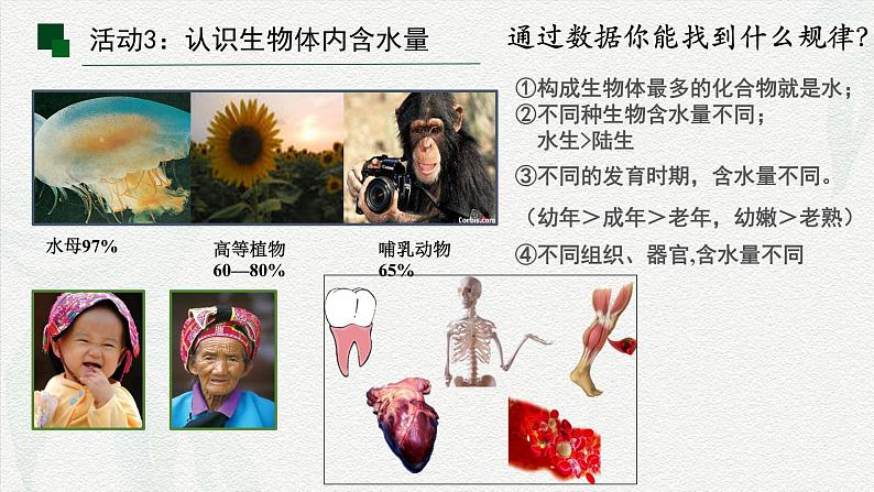 2.2 细胞中的无机物-2024-2025学年高一生物同步教学课件（人教版2019必修1）06