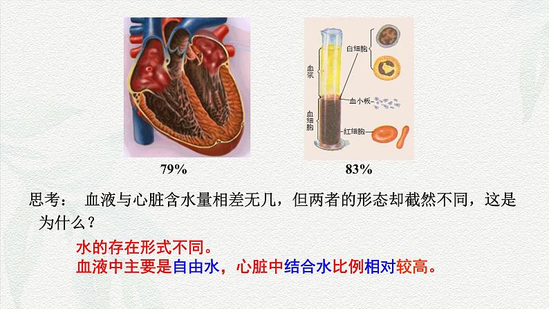 2.2 细胞中的无机物-2024-2025学年高一生物同步教学课件（人教版2019必修1）07