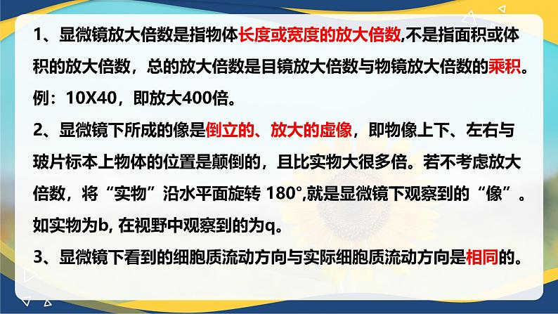 2.1 细胞中的元素和化合物-2024-2025学年高一生物同步课件（人教版2019必修1）第3页