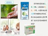 2.1 细胞中的元素和化合物-2024-2025学年高一生物同步课件（人教版2019必修1）