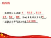 2.2 细胞中的无机物-2024-2025学年高一生物同步课件（人教版2019必修1）