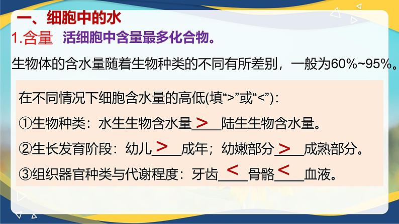 2.2 细胞中的无机物-2024-2025学年高一生物同步课件（人教版2019必修1）05