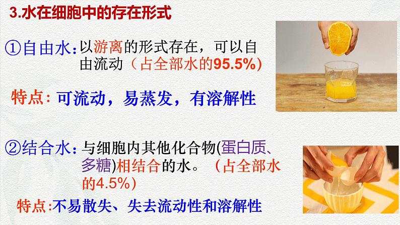 2.2 细胞中的无机物-2024-2025学年高一生物同步课件（人教版2019必修1）08