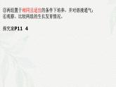 2.3 细胞中的糖类和脂质-2024-2025学年高一生物同步课件（人教版2019必修1）