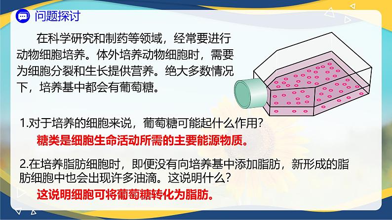 2.3 细胞中的糖类和脂质-2024-2025学年高一生物同步课堂课件（人教版2019必修1）01