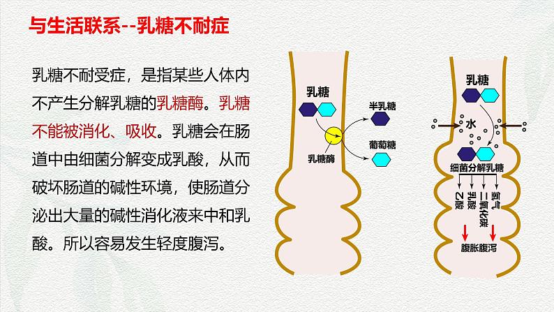 2.3 细胞中的糖类和脂质-2024-2025学年高一生物同步课堂课件（人教版2019必修1）08