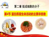 2.4 蛋白质是生命活动的主要承担者-2024-2025学年高一生物同步课件（人教版2019必修1）