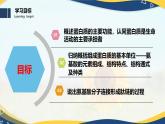 2.4 蛋白质是生命活动的主要承担者-2024-2025学年高一生物同步课件（人教版2019必修1）