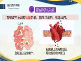 2.4 蛋白质是生命活动的主要承担者-2024-2025学年高一生物同步课件（人教版2019必修1）