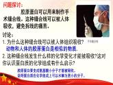 2.4 蛋白质是生命活动的主要承担者-2024-2025学年高一生物同步课堂课件（人教版2019必修1）