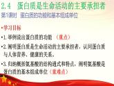 2.4 蛋白质是生命活动的主要承担者-2024-2025学年高一生物同步课堂课件（人教版2019必修1）