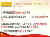 2.4 蛋白质是生命活动的主要承担者-2024-2025学年高一生物同步课堂课件（人教版2019必修1）