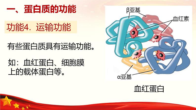 2.4 蛋白质是生命活动的主要承担者-2024-2025学年高一生物同步课堂课件（人教版2019必修1）第7页